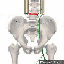 ChiroActive Therapy and Massage