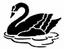 CSA Wealth Management, LLC image