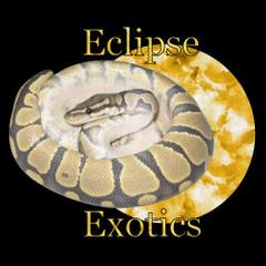 Eclipse Exotics / Eclipse Metaphysical