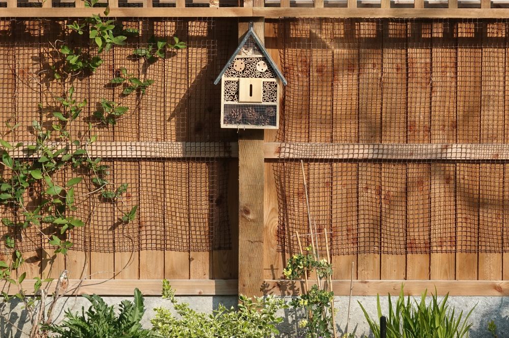 Backyard Fence Ideas for Privacy, Style, and Security