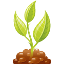 Home & Garden Spring Spruce Up!